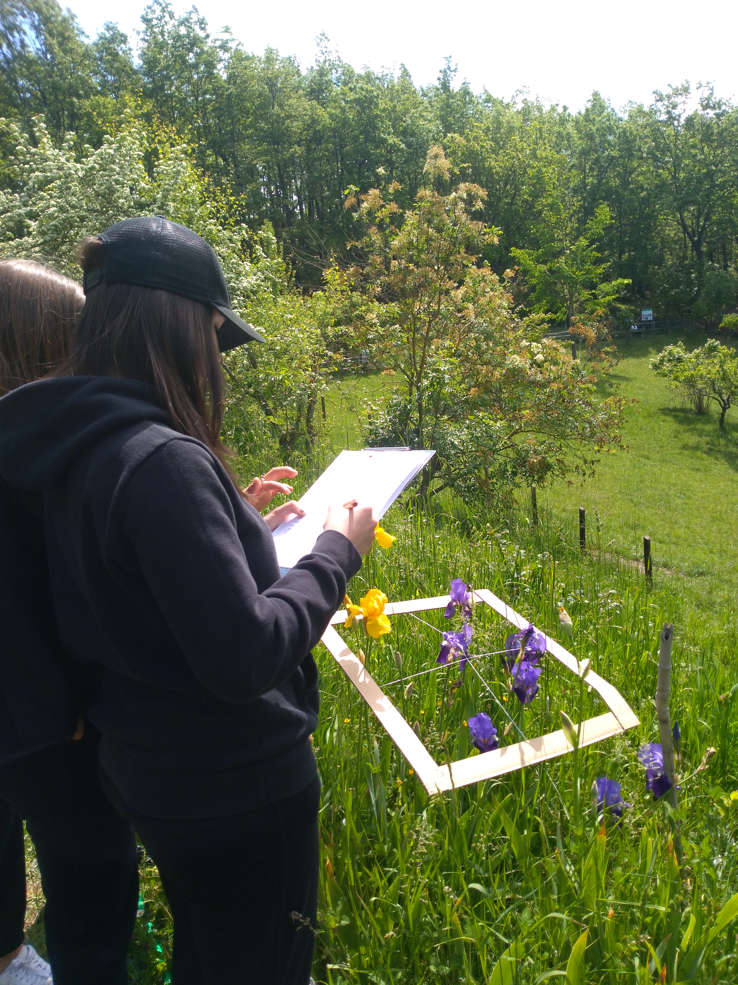 Citizen Science